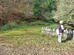 
Site of Brook Bungalow, Nant Gwyddon Valley, Abercarn, November 2011